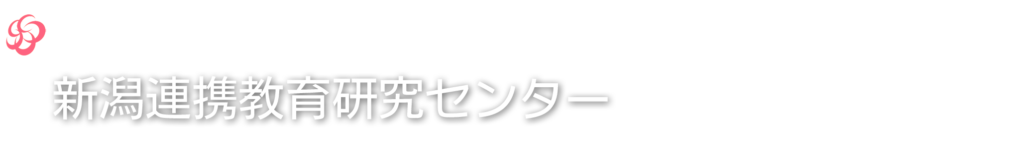 新潟連携教育研究センター